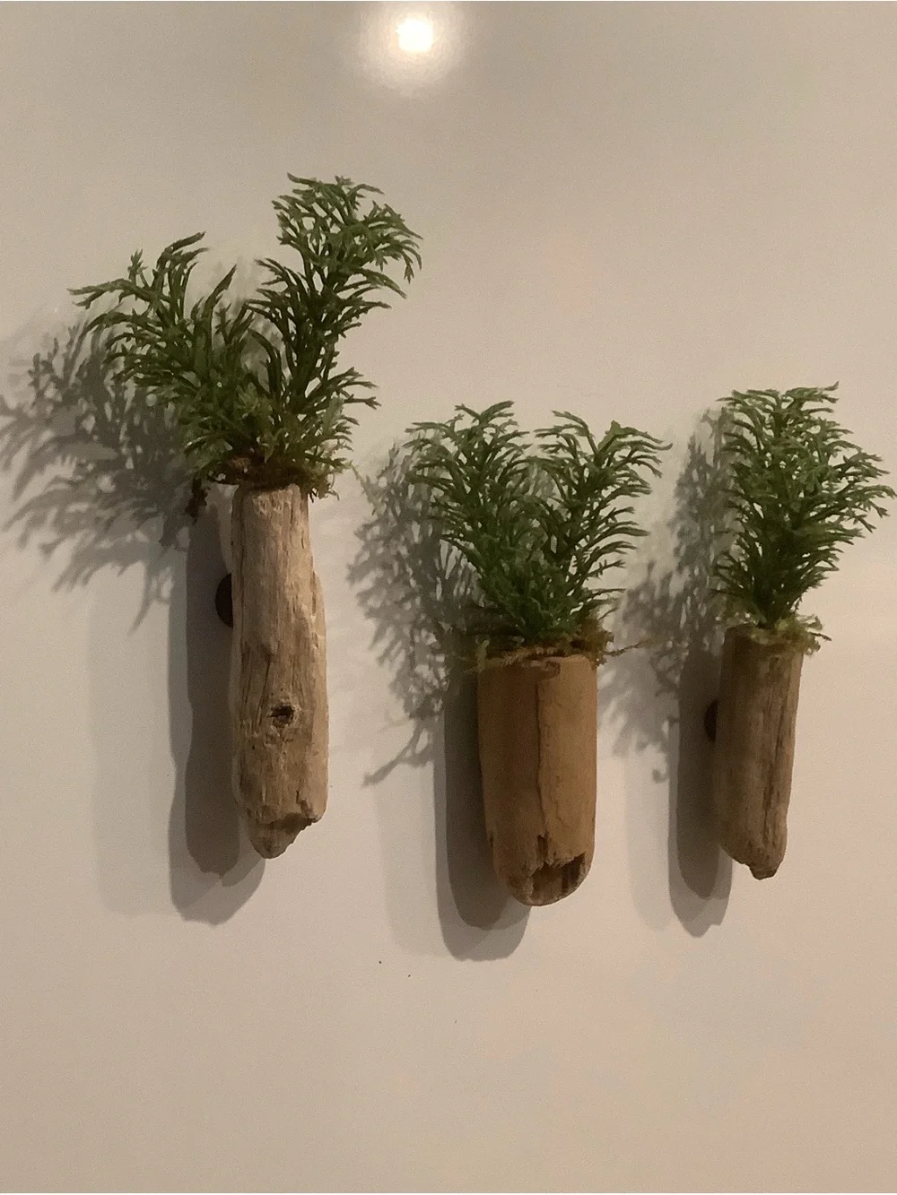 Driftwood Art, Driftwood Faux Plant Magnets, Driftwood Faux Greenery Coastal Art
